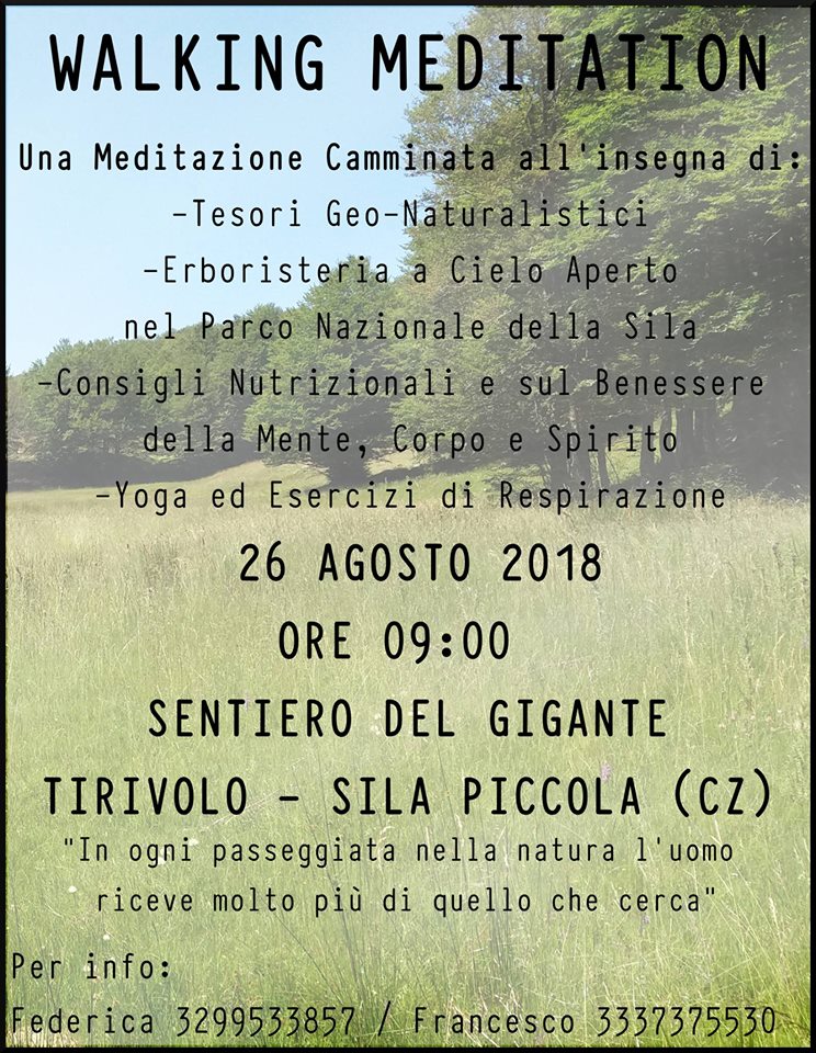 Walking-Meditation-Dr-Francesco-Marino