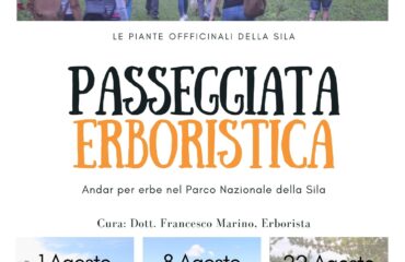 Le piante officinali della Sila, gli usi e la natura incontaminata in Calabria