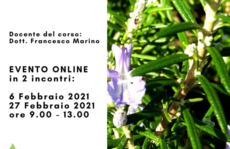 Corso di Aromaterapia Online