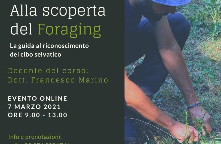 Alla scoperta del Foraging