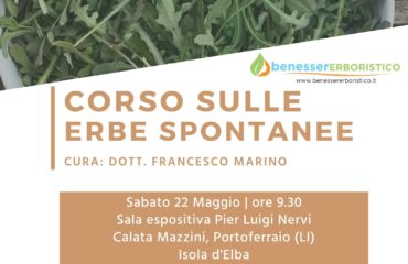 Corso sulle erbe spontanee, tra foraging, alimurgia e wild food