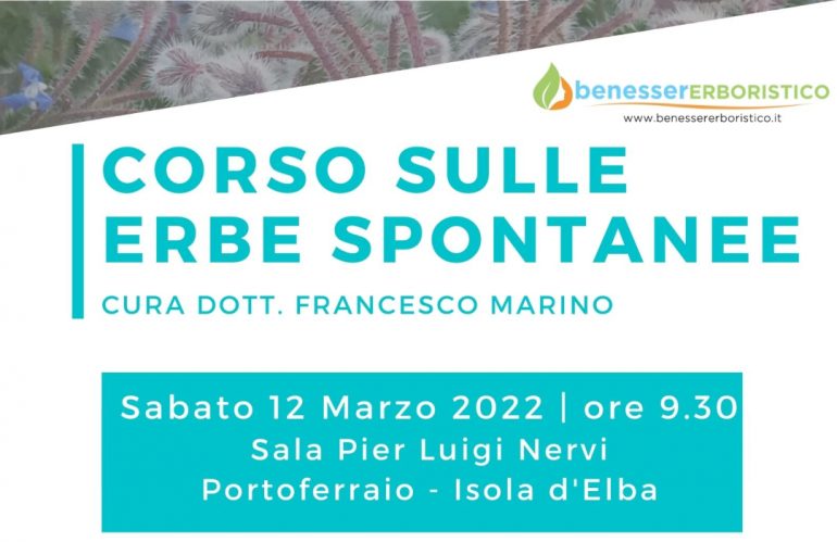 Corso sulle Erbe Spontanee