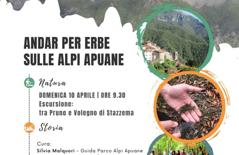 Erborare Alpi Apuane