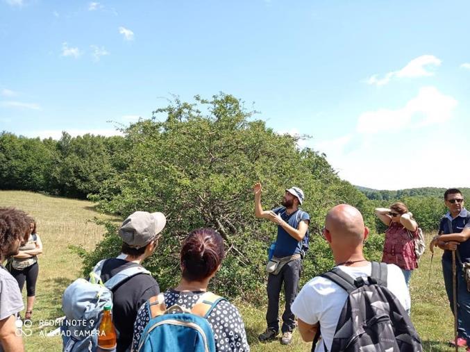 erborare - passeggiata erboristica - riconoscimento piante spontanee - foraging - wild food - alimurgia - etnobotanica- www.benessererboristico.it