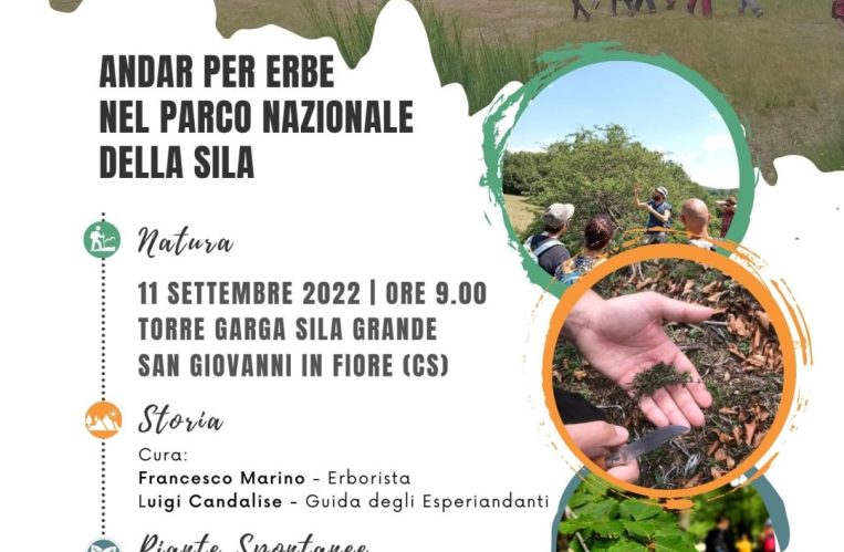 Erborare Sila – Torre Garga (Sila Grande)