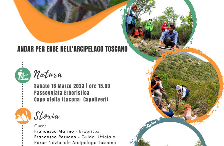 Erborare Isola d’Elba (Capo Stella)